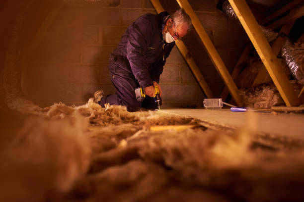 Best Specialized Insulation Services in Woodbridge, VA